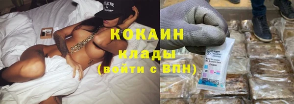 ешки Новодвинск
