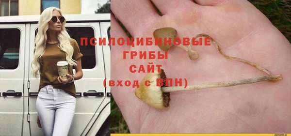 гашик Нефтегорск