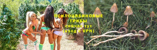 хмурый Нея