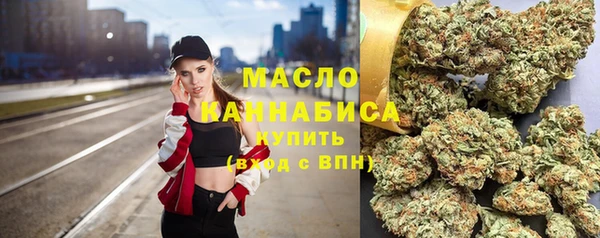 хмурый Нея
