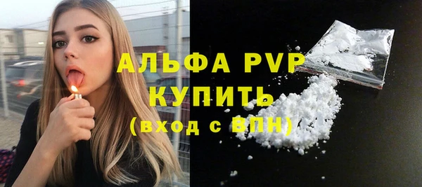 ешки Новодвинск